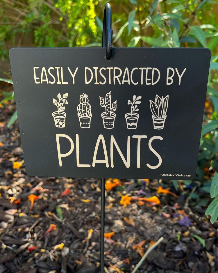 Fun Plant Quotes - Image 3